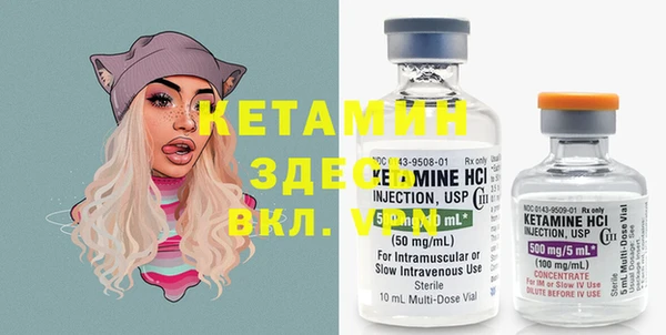 шишки Бронницы