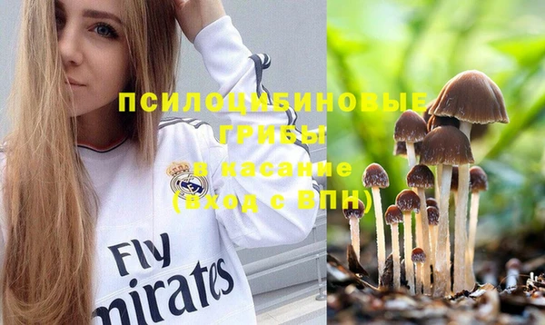 MESCALINE Бородино