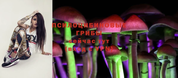 MESCALINE Бородино