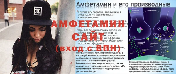 шишки Бронницы