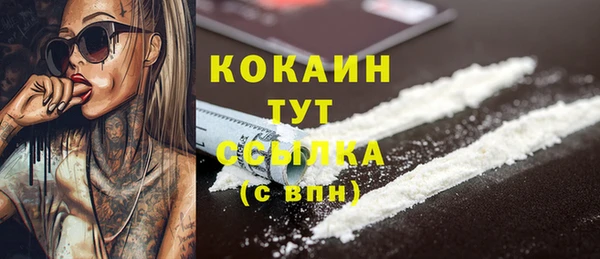 шишки Бронницы