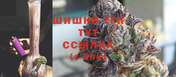 гидропоника Бугульма