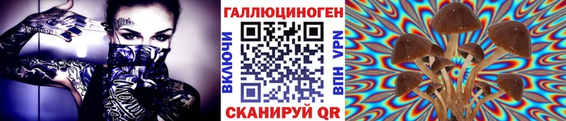 Псилоцибиновые грибы Psilocybe Невельск